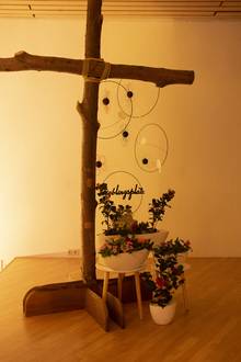 Quelle: Claudia Becker
